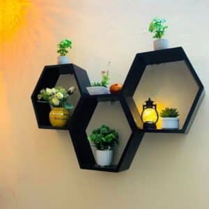 Hexagon Shelves