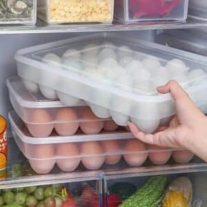 Egg storage organizer box.